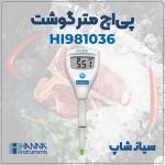 تستر اسیدیته HI981036 ویژه گوشت و مواد غذایی