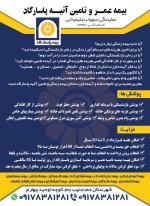 بیمه عمر و تامین آتیه پاسارگاد 